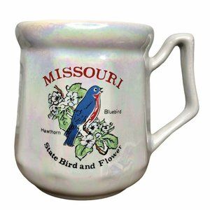 Missouri Souvenir Coffee Mug State Pearl Lusterware